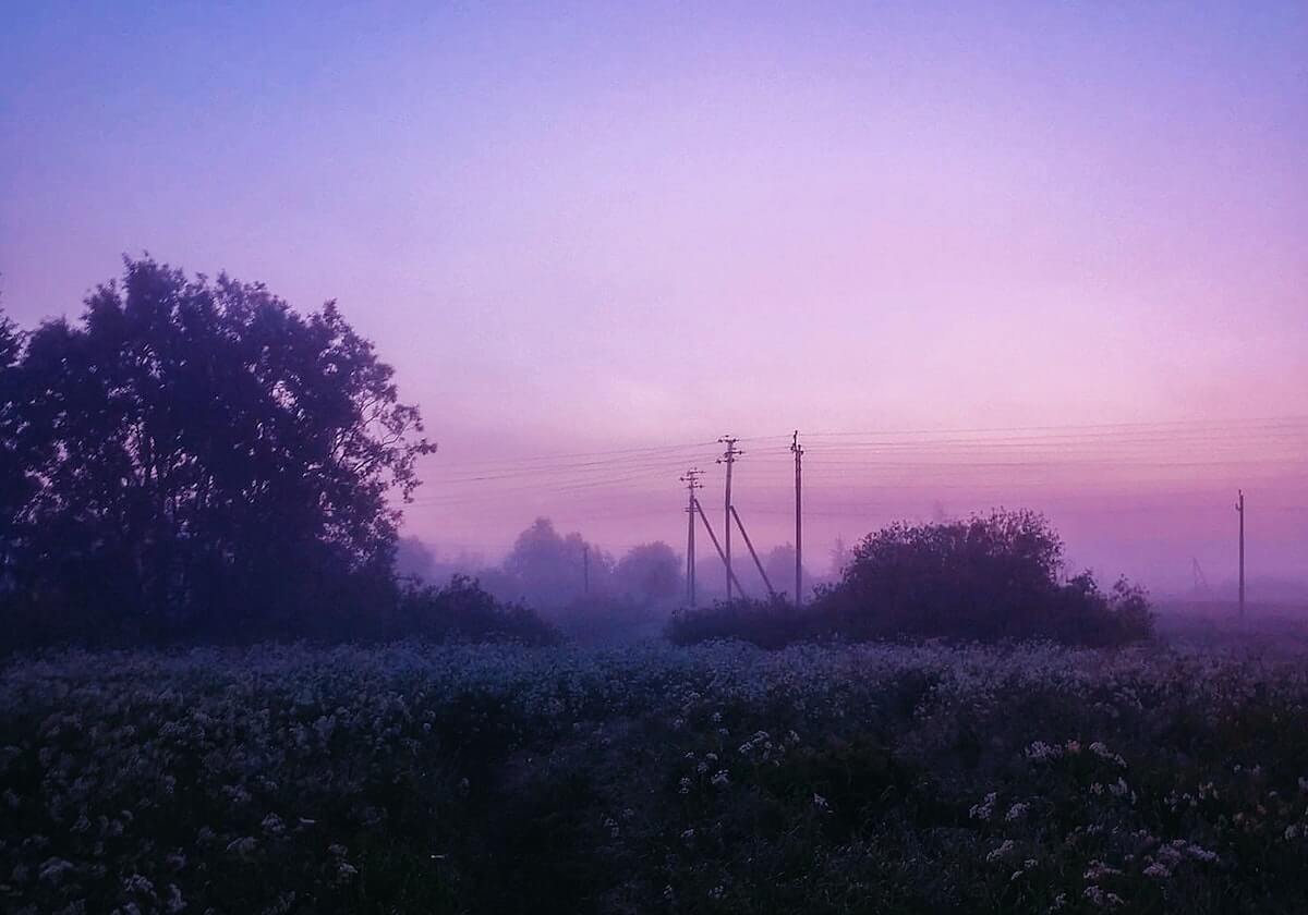 Xingkong sports-乐鱼网站：点亮你生活的娱乐新伙伴